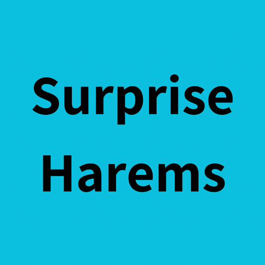 Surprise Harems